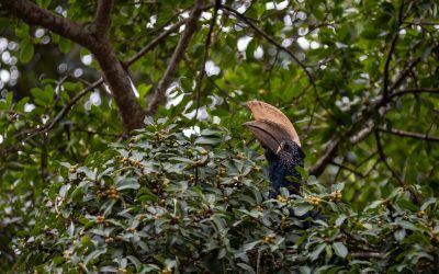 Three rewilders proving that everyone has a role to play in nature recovery