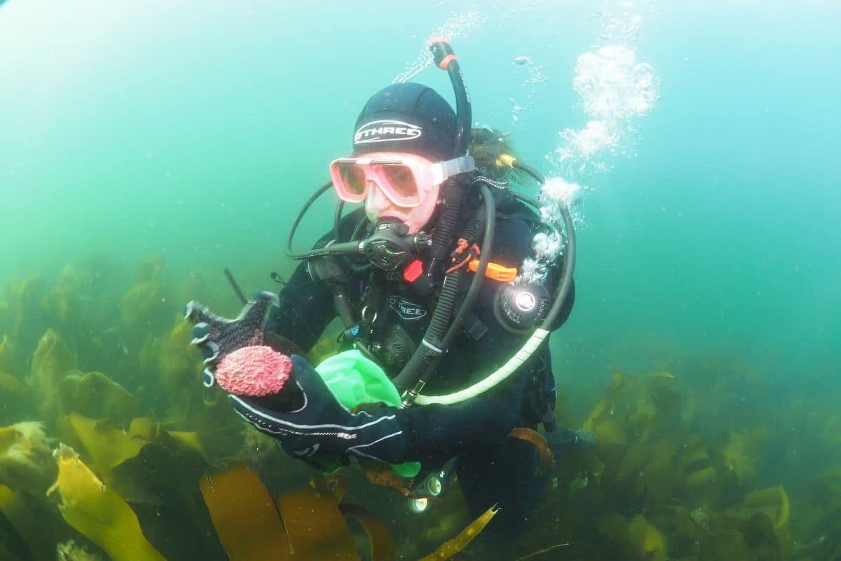 Person underwater with diving equipment