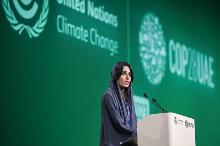 Picture of speaker at COP 28 event