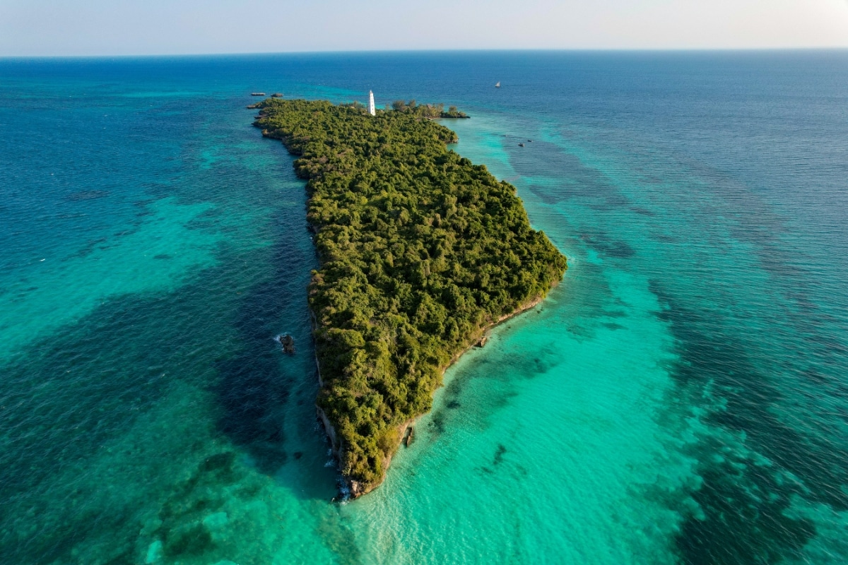 Island and forest in the ocean