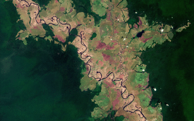 How Satellite Remote Sensing Is Unlocking New Possibilities for Rewilding Success, a new guide for practitioners