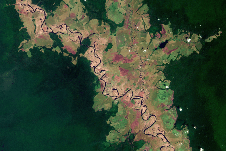 Copernicus Sentinel - Likouala-aux-Herbes river - Republic of the Congo