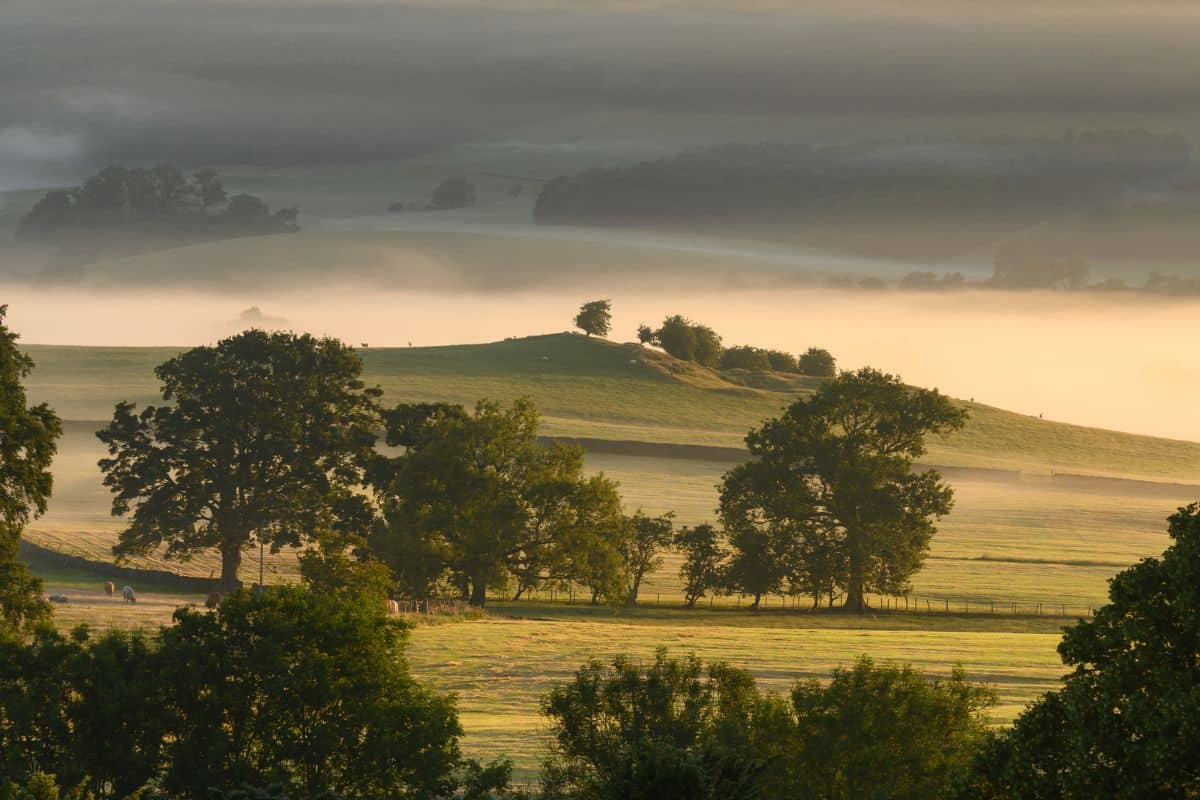 Credit: Broughton Sanctuary