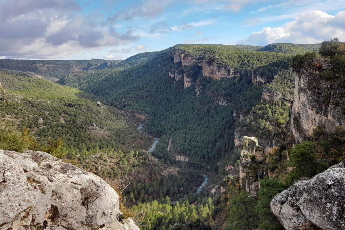 Credits: Lidia Valverde - Rewilding Spain