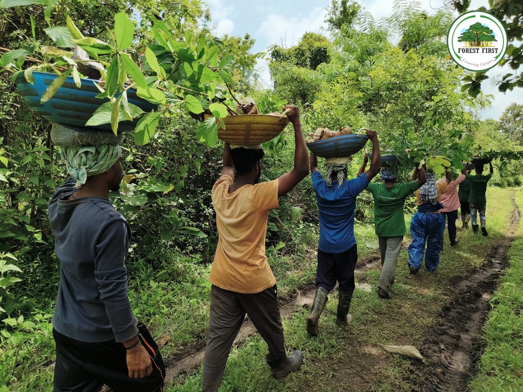 Forest First Samithi: Empowering Local Tribal Communities as Guardians of the Ghats