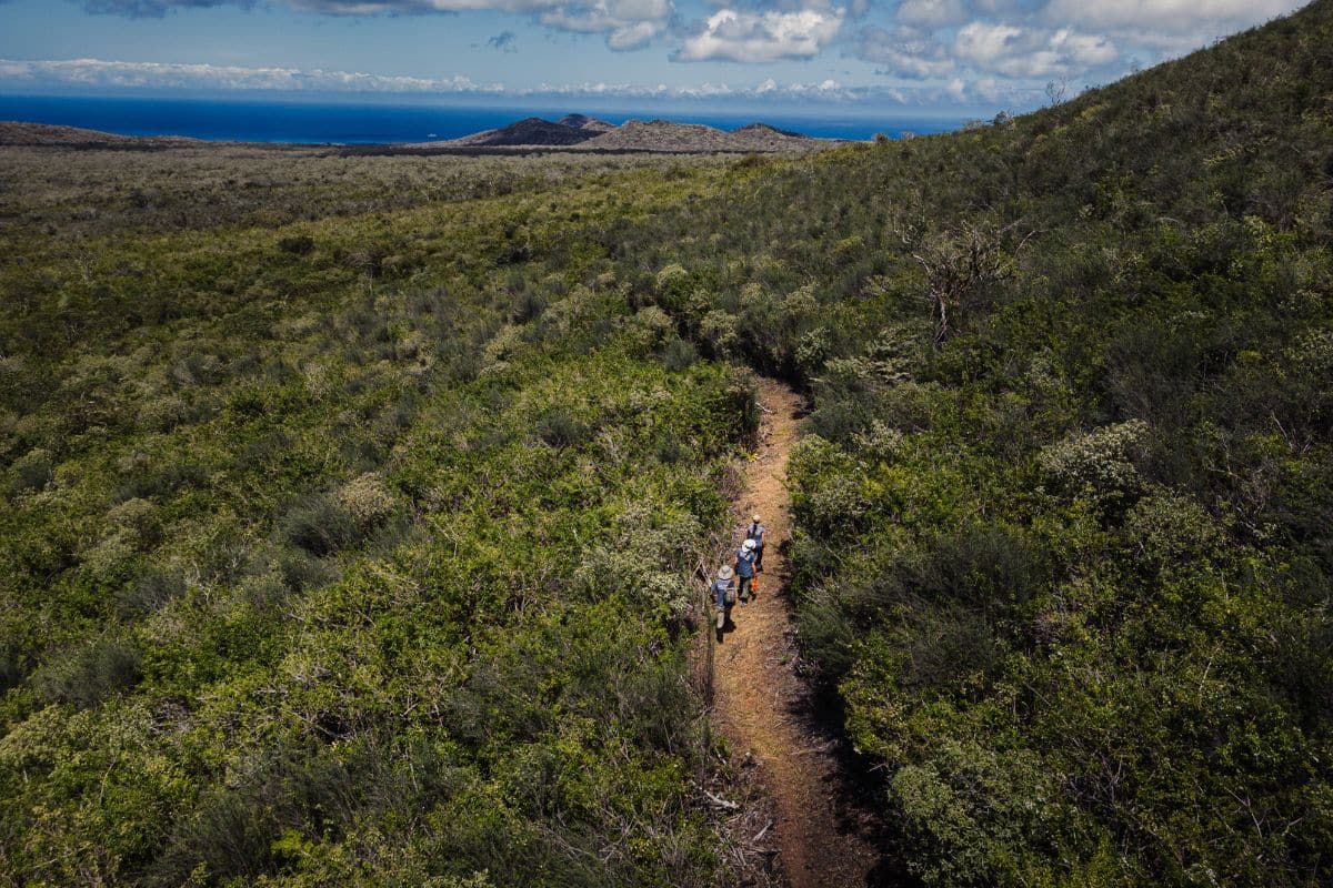 Floreana Island vegetation monitoring trip. Photo credit: Carlos Espinosa. CDF