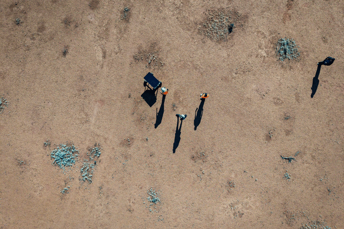 For the Love of Wildlife - Micropitting with Rovers