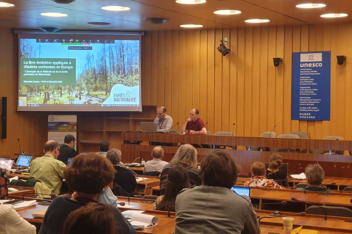 “Séminaire inter réseau sur le libre évolution”, UICN, Paris, January 2024. Photo credit: Forêt & Naturalité.<br />
