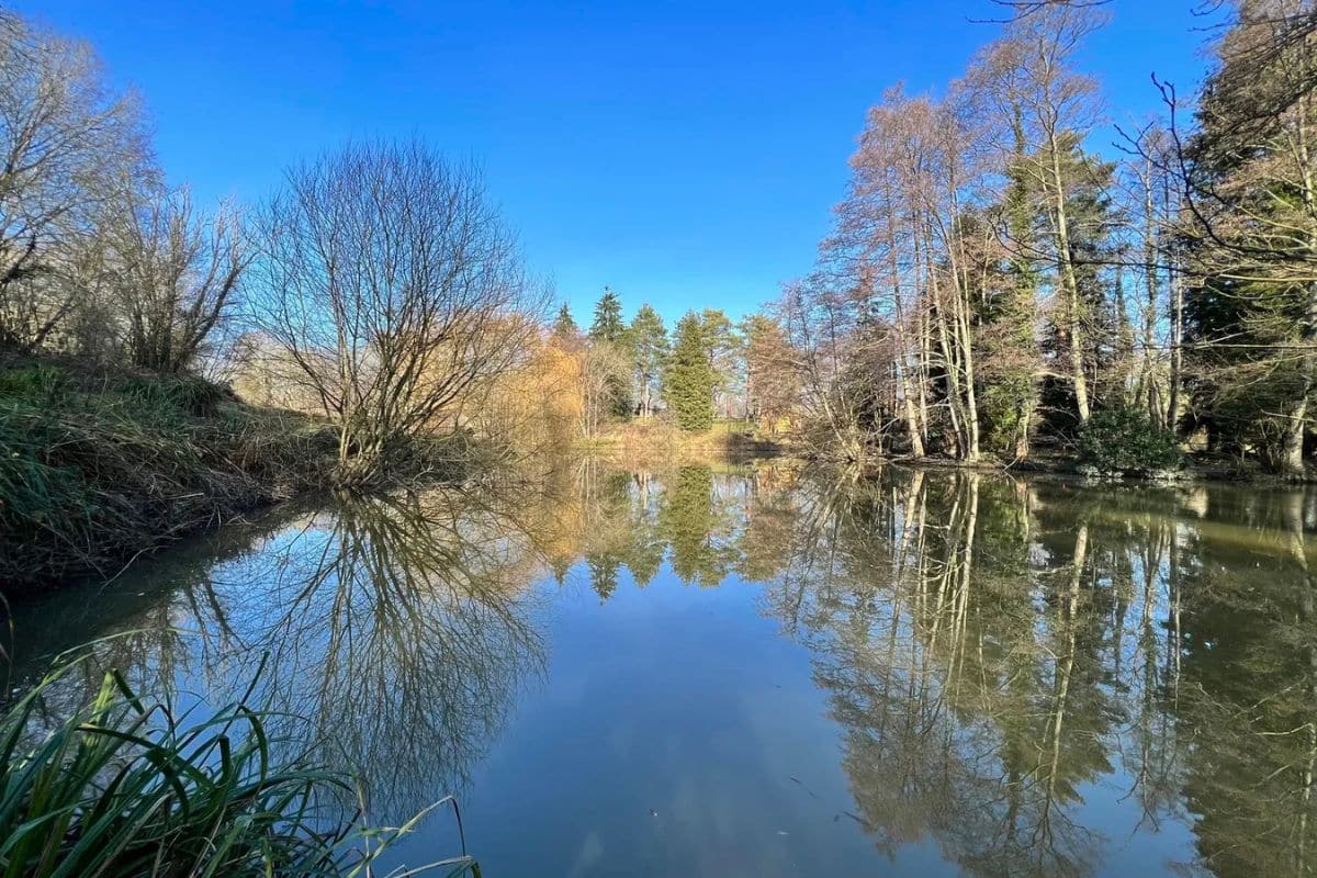 Lake. Credit: Furnace Brook