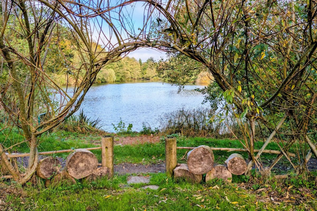 Lake through Willow Dome. Photo Credit: Furnace Brook.