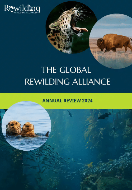 GRA Annual Report 2024