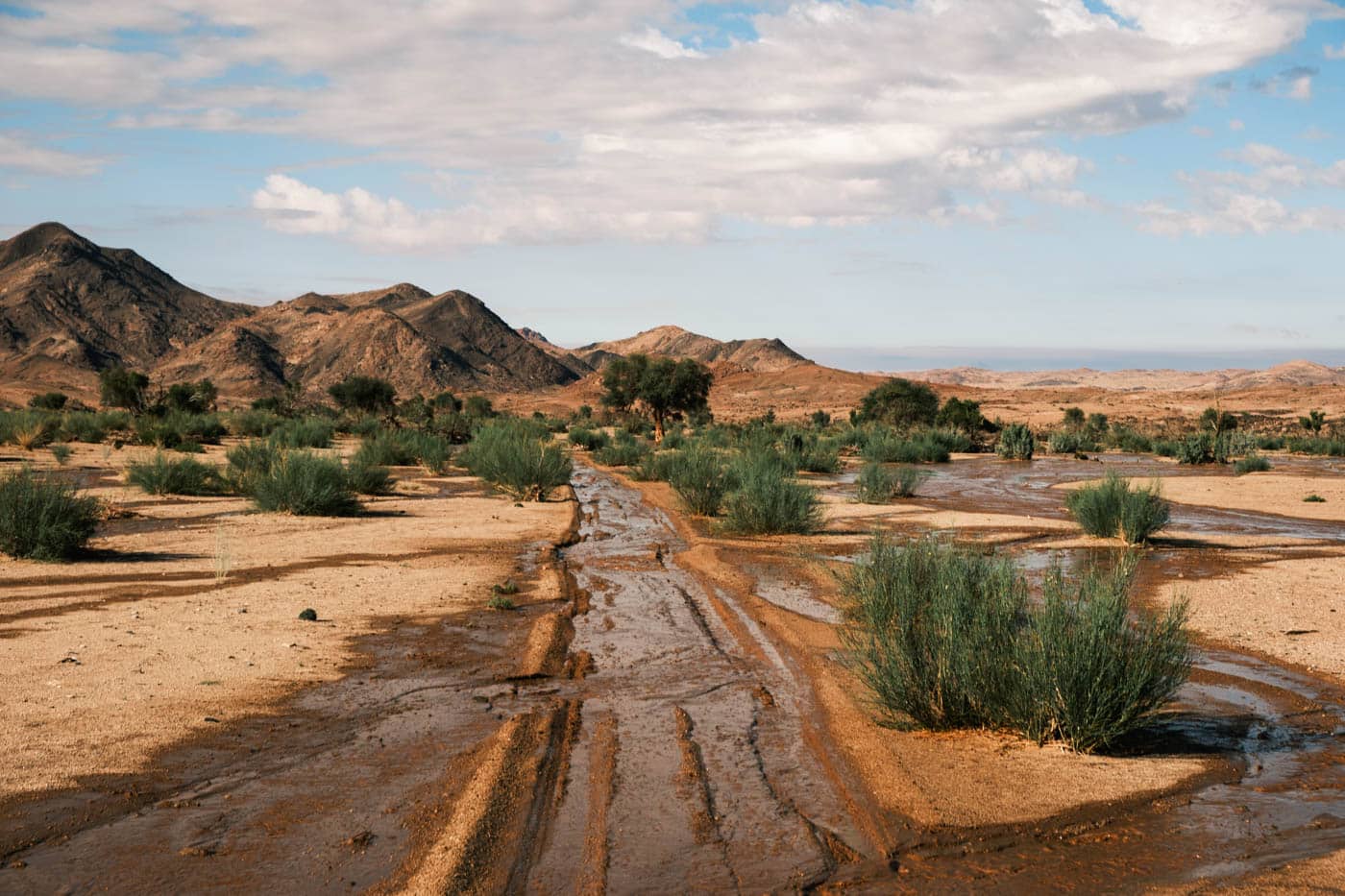 ORKCA Landscape. Credit: ORKCA