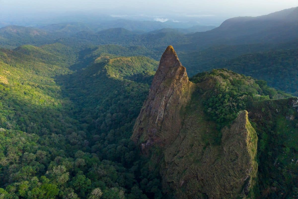 Gashaka mountains Rocky and forested landscape