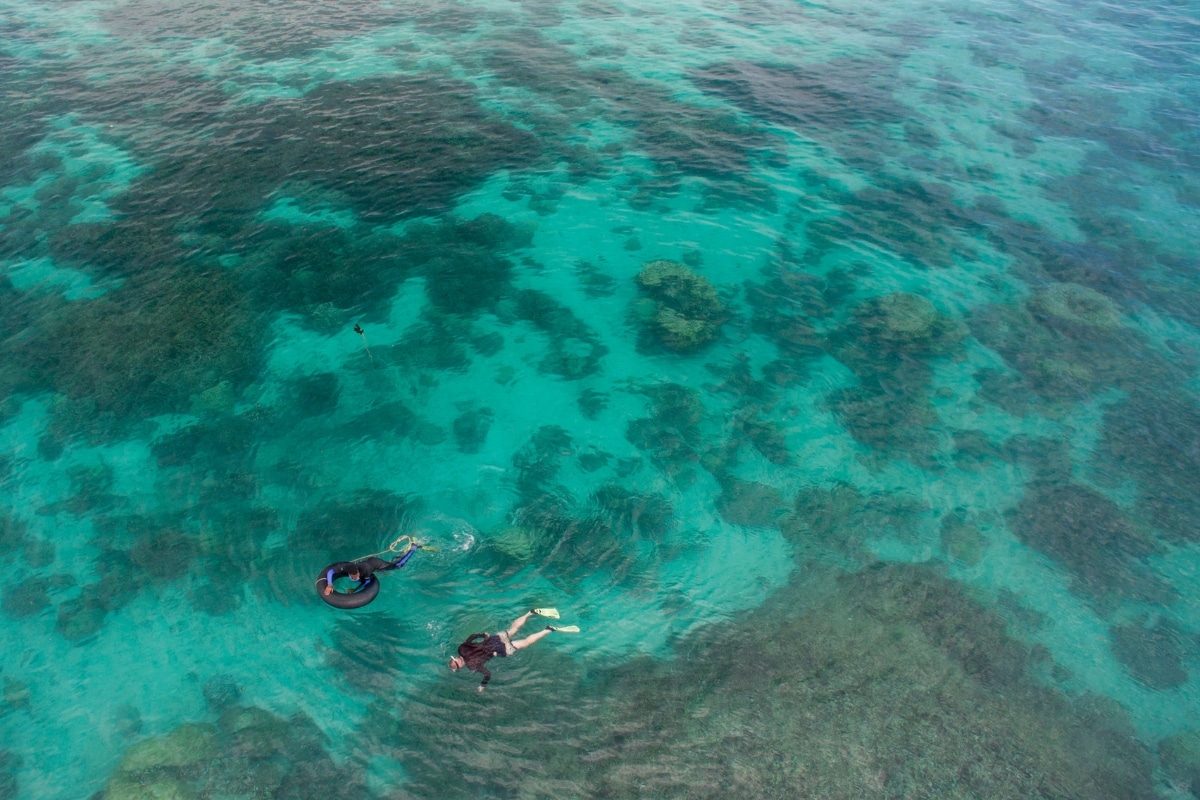 people snorkeling