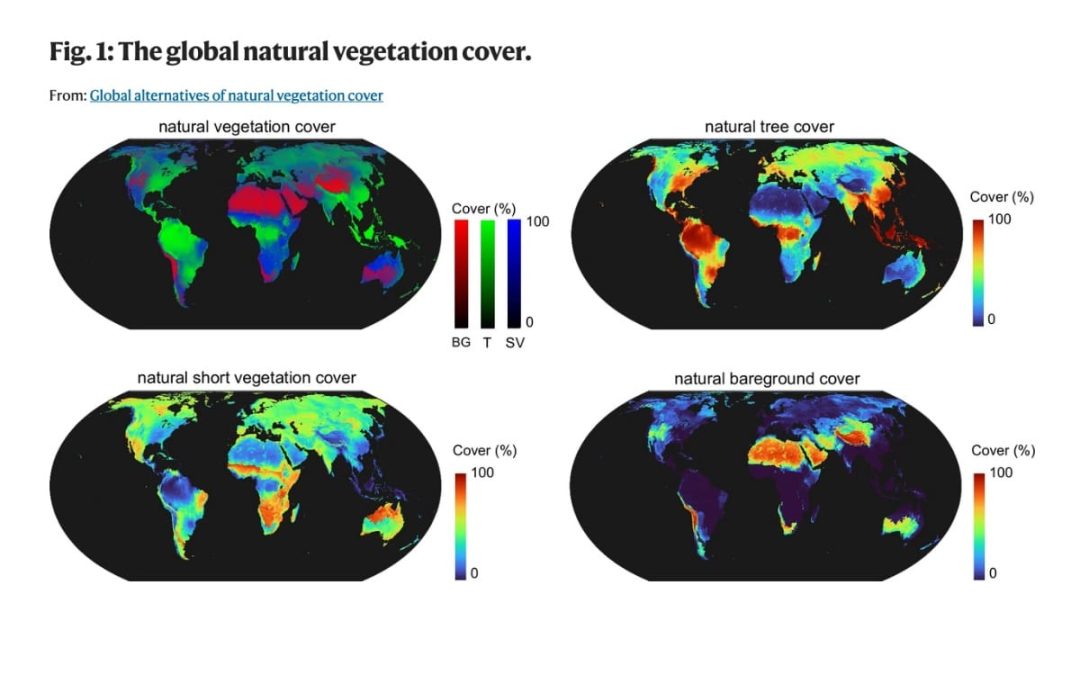 Global alternatives of natural vegetation cover