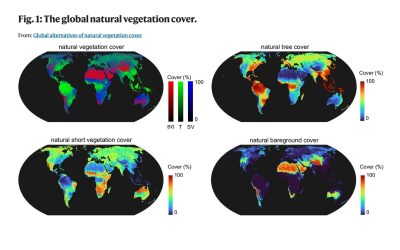 Global alternatives of natural vegetation cover