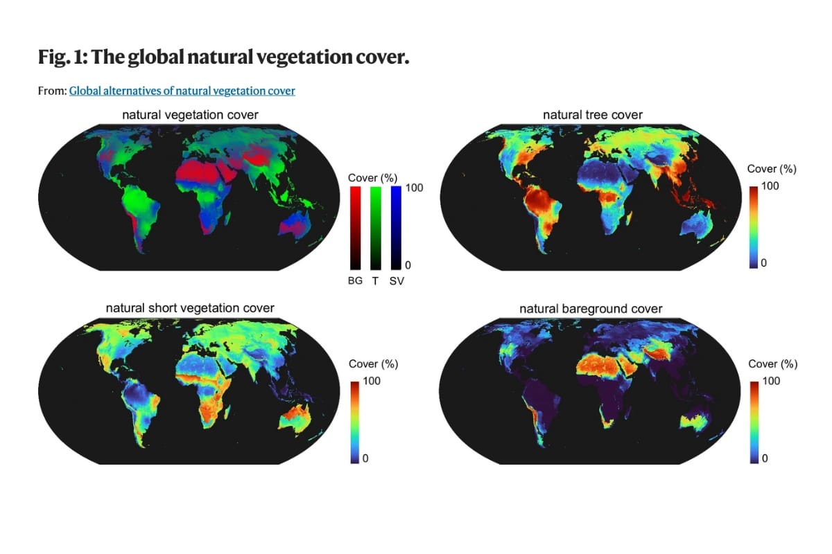 Global alternatives of natural vegetation cover