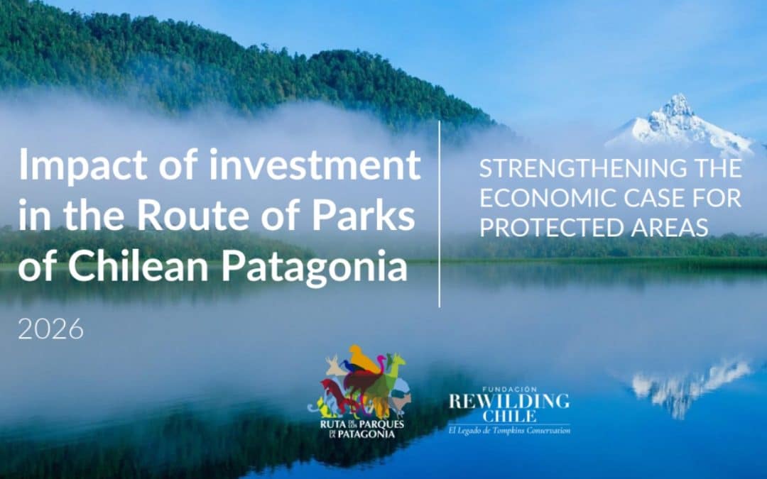 Impact of investment in the Route of Parks of Chilean Patagonia