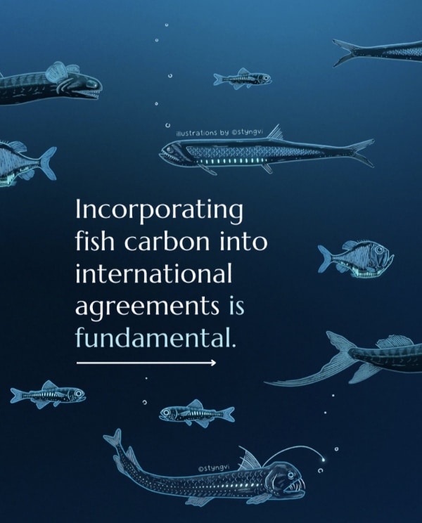 Incorporating fish carbon into international agreements is fundamental - report cover