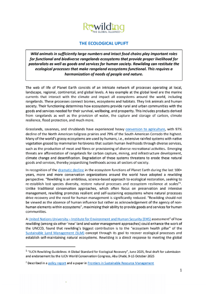 International Year on Rangelands and Pastoralism - Global Rewilding Alliance contributions thumbnail