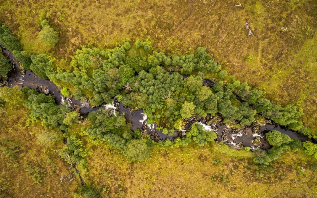 Wilder Reads: A Review of ‘Is A River Alive?’