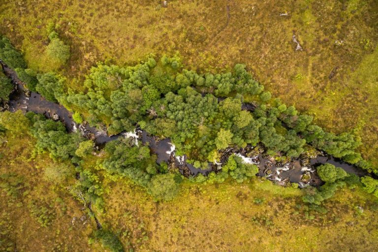 Riparian woodland along the River Affric in Scotland. Credits: James Shooter - Scotland The Big Picture