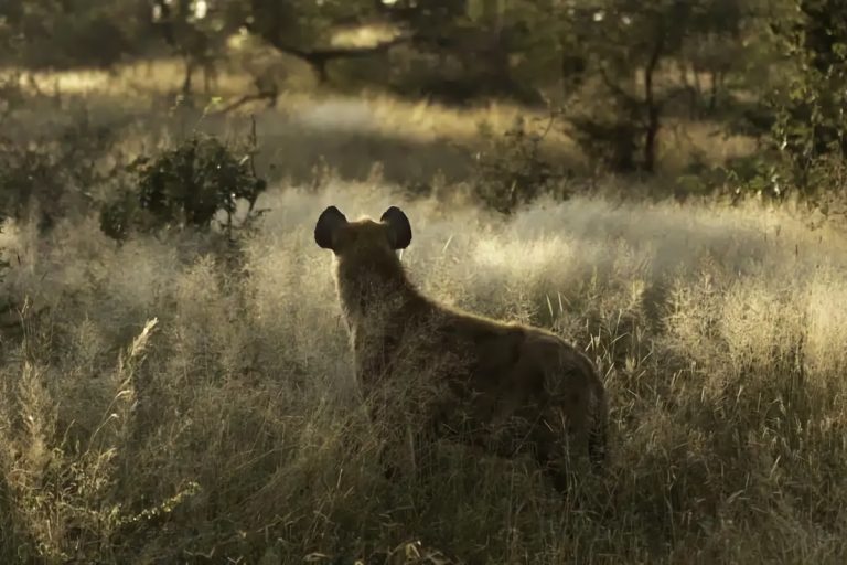 Kruger Expedition April 2019