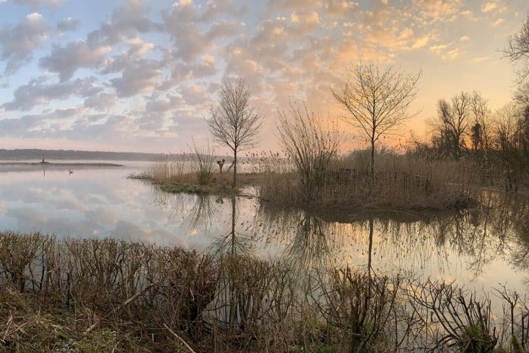 Lake and vegetation