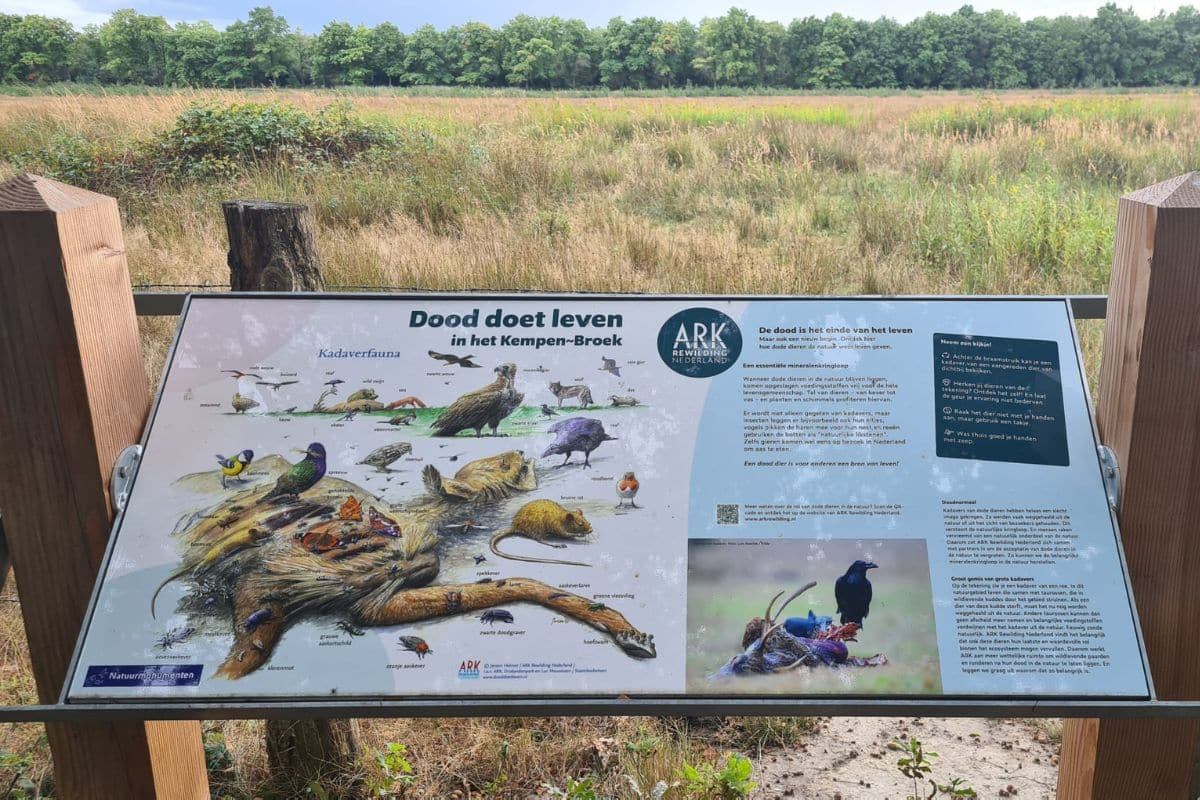 Jeroen's deadwood illustrations displayed in a Dutch nature reserve. Credits: ARK Nederland