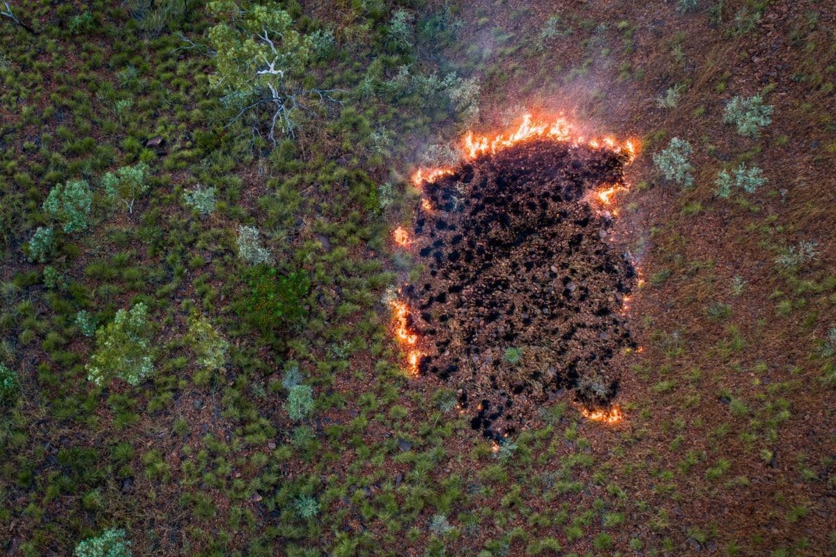 Planned Burns. Credits: Australian Wildlife Conservancy
