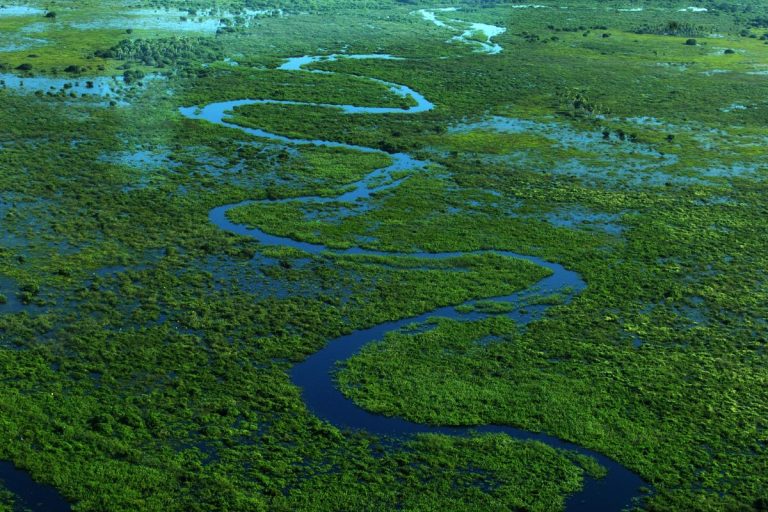 Wetland landscape credit Fernando Quevedo