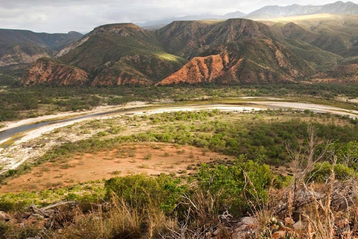 Photo credit: Eden to Addo Corridor Initiative