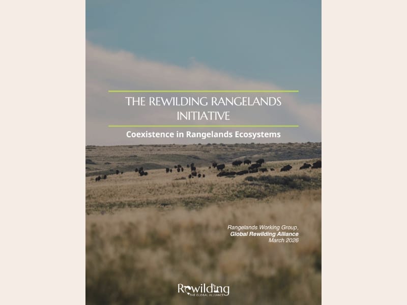 Rewilding Rangelands Initiative cover