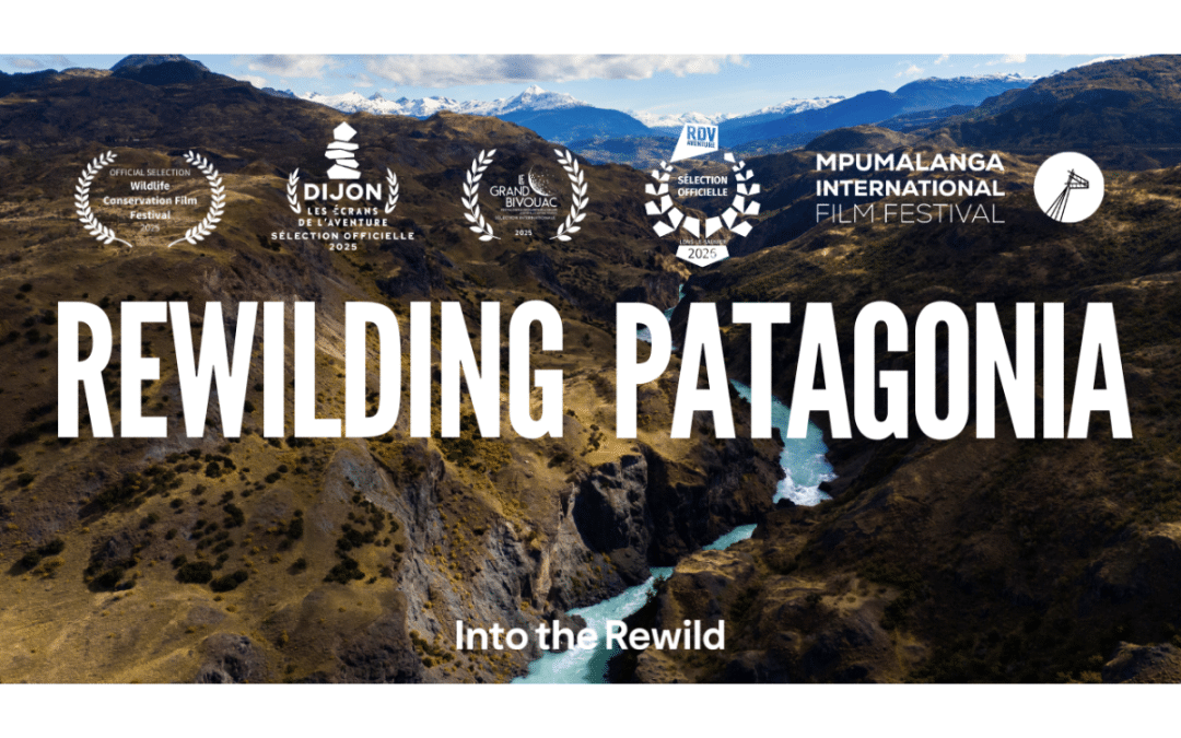 How Action-Focused Narratives Can Make Rewilding Accessible to Everyone