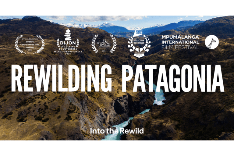 Rewilding Patagonia Film