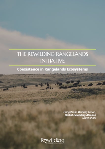 Rewilding Rangelands Initiative thumbnail