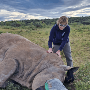Sharon Jessop, Runner for Rhinos, South Africa