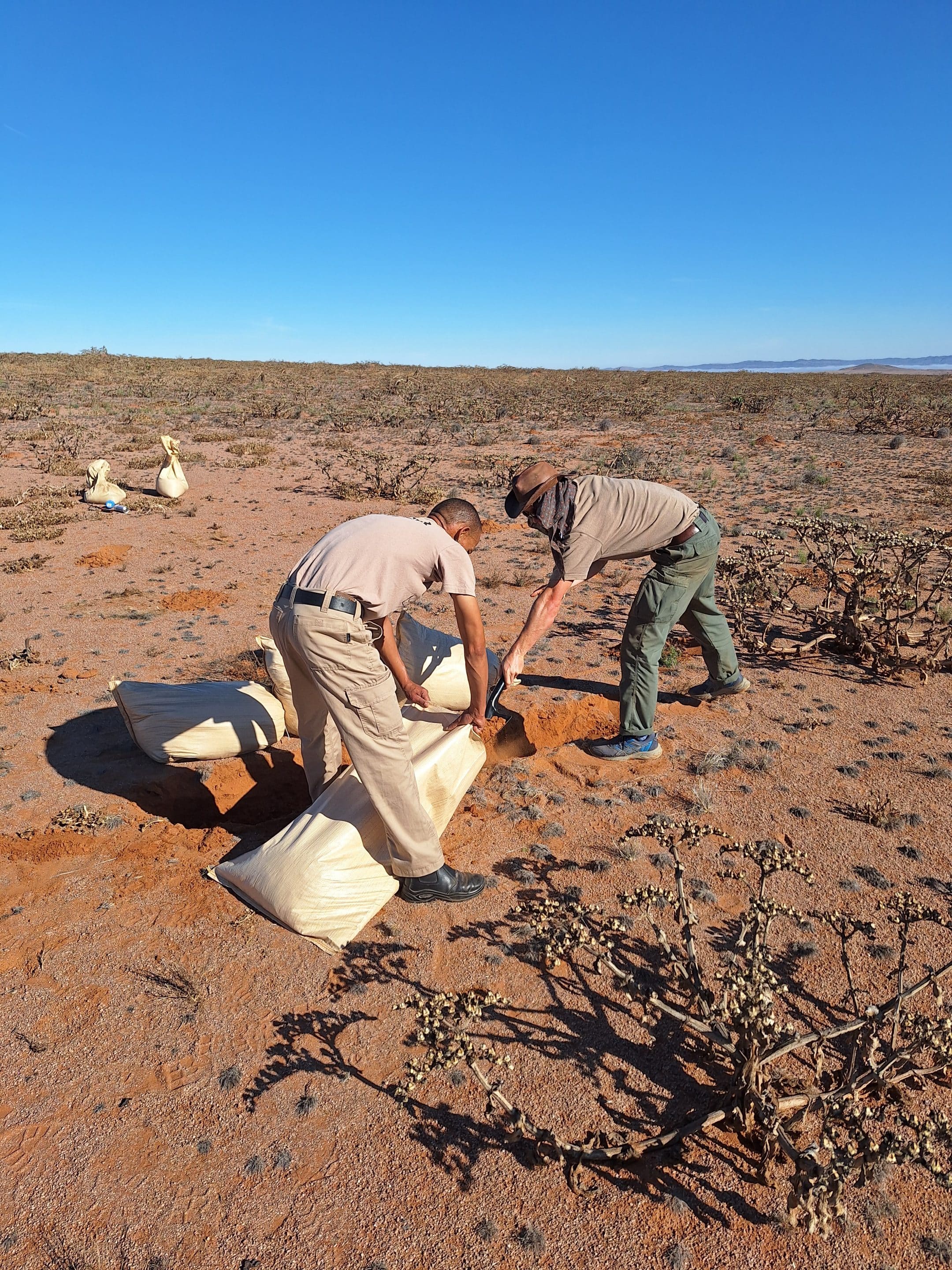 People working with sandbags