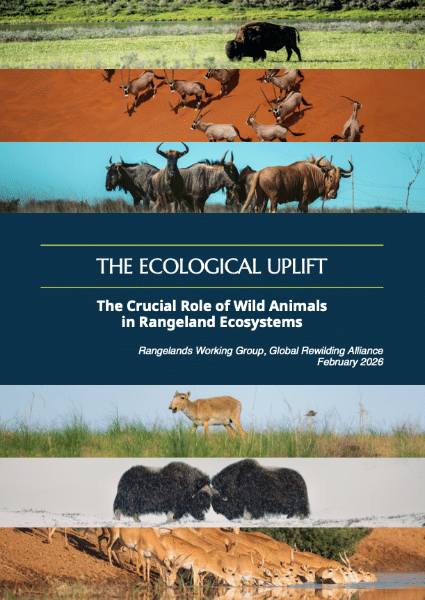 The Ecological Uplift Global Rewilding Alliance