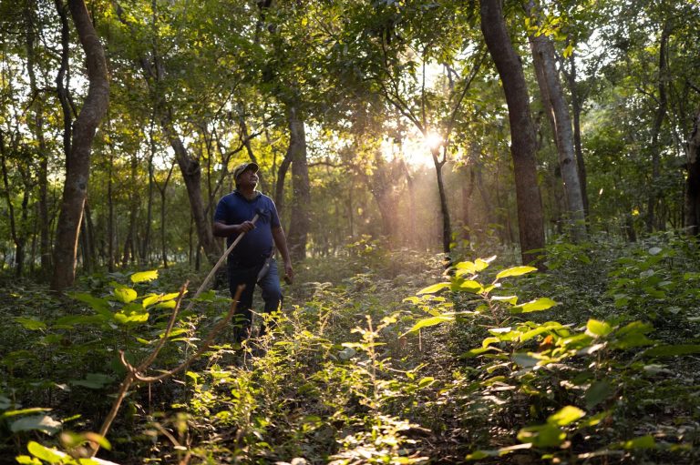 UNEP_World Restoration Flagship_Terai Arc Landscape_Nepal_Todd Brown.jpg