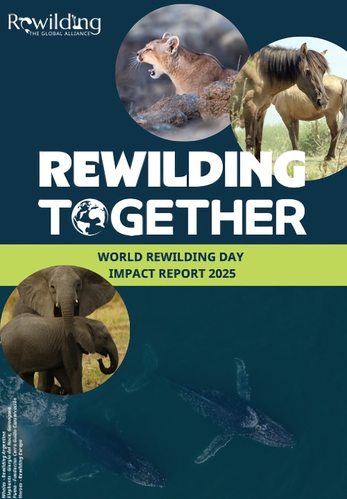 World rewilding Day impact report 2025