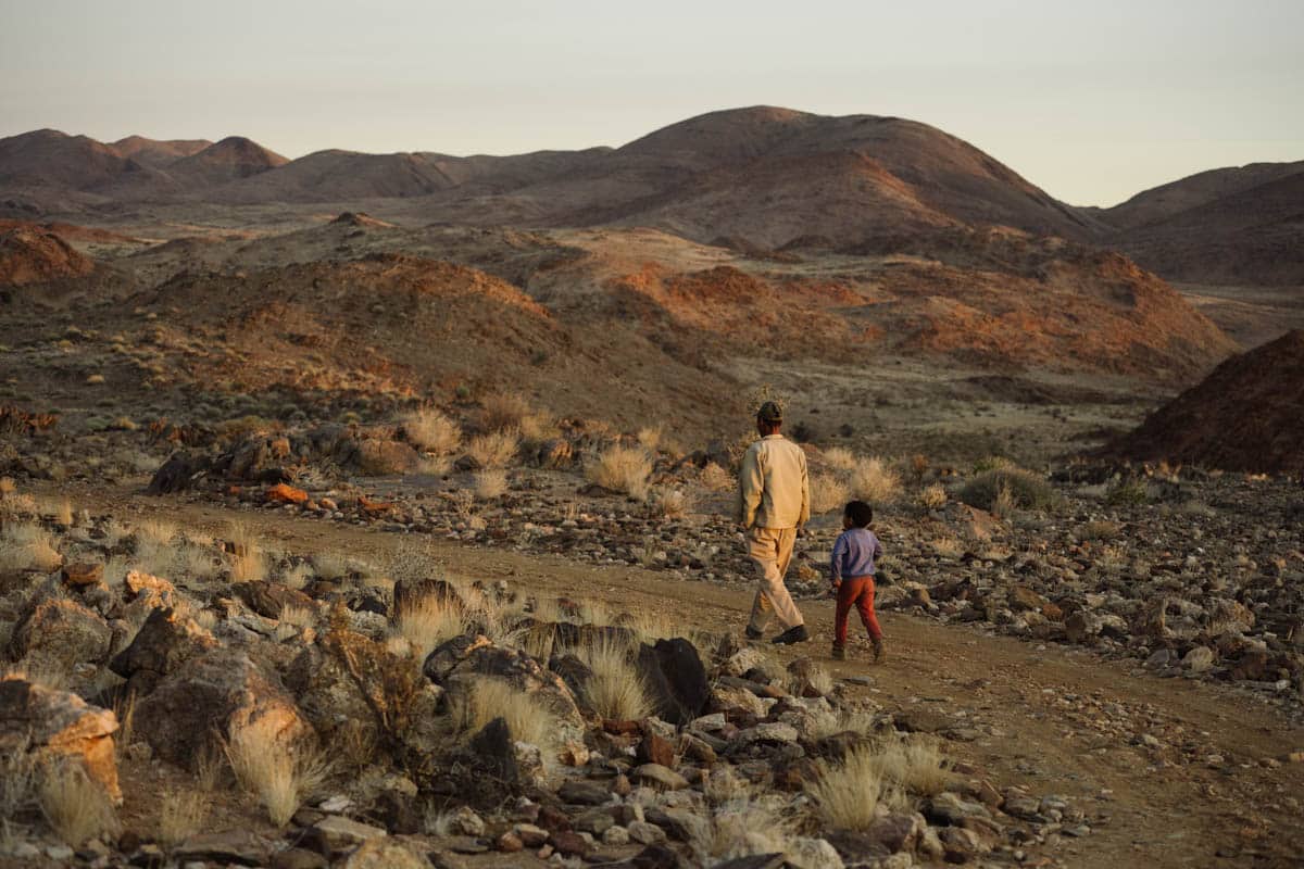 Rewilder family in an ecosystem. Credit: ORKCA