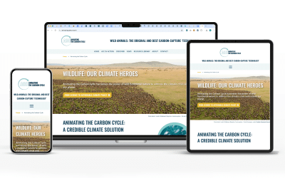 Animating the Carbon Cycle website