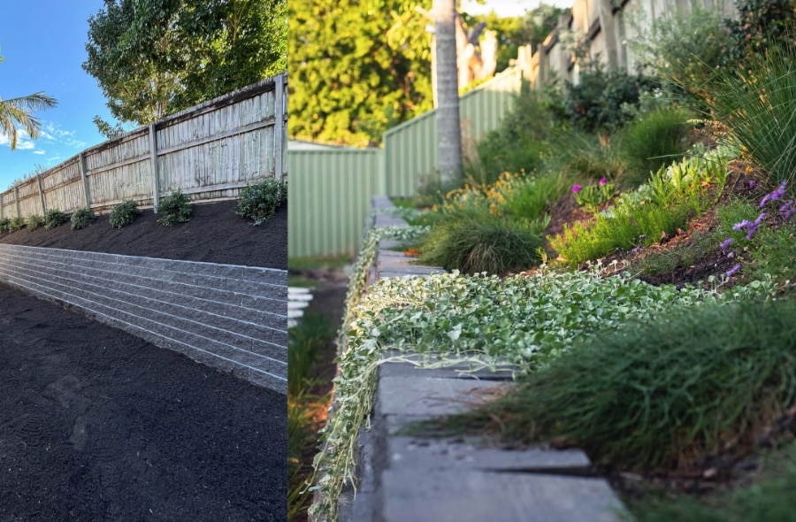 Australian garden