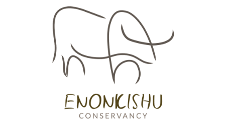Enonkishu Conservancy logo