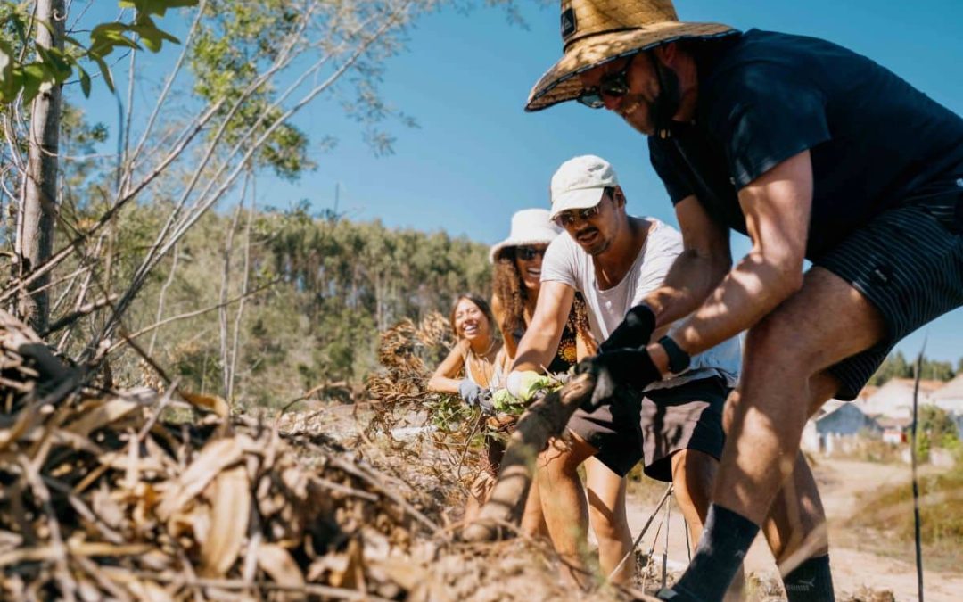 Sylvester: Community Rewilding in Spain
