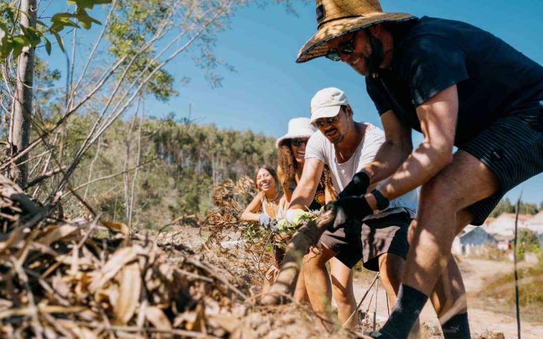 Sylvester Week. Credit: Sylvester