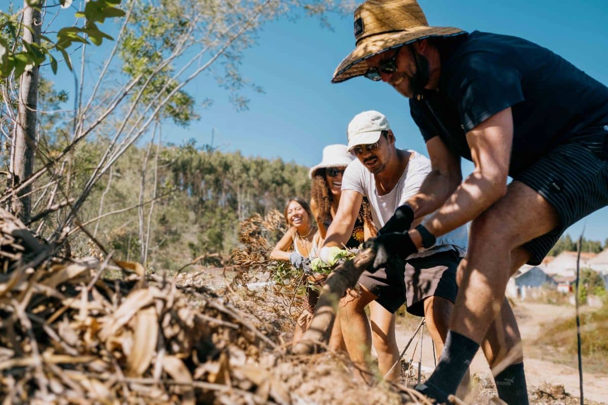 Sylvester: Community Rewilding in Spain