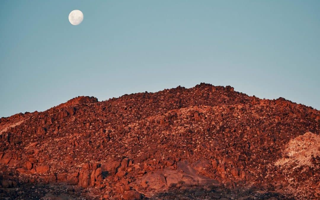 ORKCA (Orange River-Karoo Conservation Area): Rewilding Africa&rsquo;s great migrations