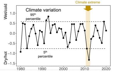 Reintroducing bison results in long-running and resilient increases in grassland diversity
